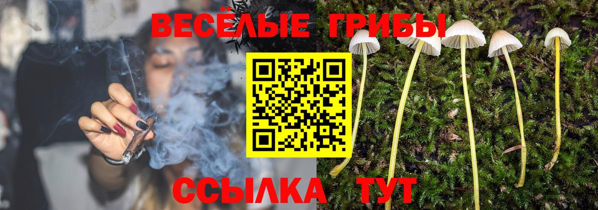 дарнет шоп  Галлюциногенные грибы Magic Shrooms  Вход с VPN  Сочи 